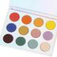 Longlasting 12 Color Shimmer Matte Eyeshadow Palette With Private Label Logo