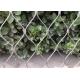 SS 316 Green Plant Climbing Trellis Wall Mesh / 1.5mm Stainless Steel Wire Rope Mesh 100x100mm