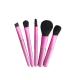 ISO9001 Pink 5pc Professional Cosmetic Brush Set