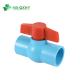 Water Supply BS Standard Light Blue PVC Compact Ball Valve with Socket