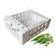 11lbs Fresh Okra PP Corrugated Plastic Packaging