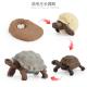 Tortoise Life Cycle Figure Model Toy For Boys Girls Kids