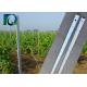 Heavy Duty Galvanized Vineyard Grape Pole 1.5MM x 2.4M Metal Orchard Post