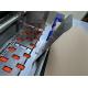 Pizza Box Automatic Flexo Printer Slotter Die Cutter Folder Gluer Machine Fast Speed