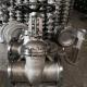 CF8 Stainless Steel Flanged End Gate Valve for Industrial Y Type Strainer Filtration
