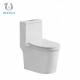 Low Flow Modern Ceramic Bathroom One Piece Toilet Dual Flush