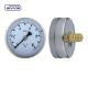 No Oil Stainless Steel Pressure Gauge Back Mounting OEM Customized