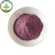Instant Powder Drink Blackberry Extract Powder With Best Price