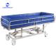 Electric Adjustable Iron Metal Bath Bed For Patient