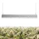 High IP Rated Waterproof LED Grow Lights With ETL Certification No Noise