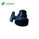 DIN ANSI BS Standard PVC Ball Valves White Single Double Union for America Main Market