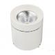 20 Watt - 50 Watt LED Surface Mounted Cylinder Downlight With Hanging / Ceiling Installation