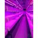 Smart Grow Hydroponic Vertical Farming System Shipping Container Farm Greenhouse