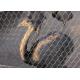 X Tend Aviary Wire Netting 304 Woven Knotted Cable Mesh Protection Cages