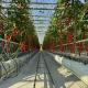 6x10 6ft X 4ft Intelligent Commercial Agricultural Glass Greenhouse For Flowers Potatoes Peppers