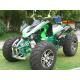 New Design 1000w/1500w High Power Electric ATV