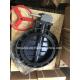 Water Industrial Usage Butterfly Valve in Year with Cast Iron Handle and PVC Body