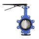 316/ 304 Cast Iron Butterfly Valve