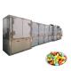 Two Moulds Chocolate Bean Forming Machine Automatic
