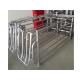 Power Coated Finishing Pig Gestation Crates With Stainless Steel Feeder