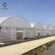 Heavy Duty 9.0m Span Plastic Film Greenhouse With Ventilation System