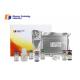 Customized Human ELISA Kit Apurinic , Apyrimidinic Endonuclease 1 ELISA Test Kit