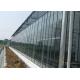 Fully Automatic Glass Greenhouse , Venlo Multi Span Greenhouse Corrosion Resistant
