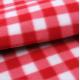 Red And White Plaid Outdoor Picnic Blanket For Park / Beach / City Green Space