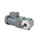 Reduction Ratio 1:3 Variable Speed Gear Motor