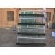Auto Drinking System Hot Galvanized Layer Hen Cages
