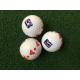 logo golf ball with PGA