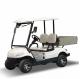 Custom 2 Seater Golf Cart Car Electric Lithium Powered CE Certificated