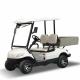Custom 2 Seater Golf Cart Car Electric Lithium Powered CE Certificated