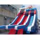 Commercial Outdoor Giant Inflatable Water Slide Dolphin Octopus Cartoon Inflatable Double Slide For Kids And Adults