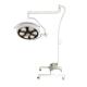 Clinic / Hospital Vertical LED Operating Room Lights With Emergency Battery Endo