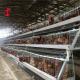 A Or H Type Layer Battery Cage System For 1000 To 20000 Birds Poultry Farm Iris