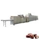 200kg/H Chocolate Moulding Machine