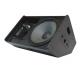 High Power Dj Pro Pa Speakers , Professional Audio Speakers Bass Reflex Radiation