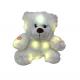 Colorful 0.25M 9.84ft LED Plush Toy Big White Bear Stuffed Animal SGS