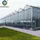 Agriculture Aluminum Roof Multi Span Greenhouse Commercial Glass Greenhouse