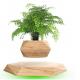 Flower pot Magnetic Levitating Plant pot Air Bonsai Levitating Bonsai Floating Plant