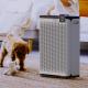 LED UVC Sterilizing Pet Air Purifier Say Goodbye To Pet Allergies