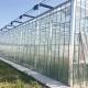 Vertical Hydroponic Agricultural Greenhouse 4.5m-7.5m Large Scale Greenhouse Farming