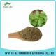 Free Sample 100% Natural Sweet Basil Extract Powder