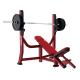 Weight Lifting Incline Bench Press Machine Falling Prevent With Operator Protection