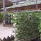 Commercial Aquaponic Aquarium System Prefabricated PO Greenhouses for Vegetables