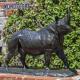 Live sized metal cast bronze statue of rhinoceros for outdoor garden decoration