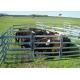 40x80 MM Heavy Duty Cattle Panels , Oval Tube Cattle Panels For Goats