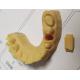 High Precision ISO13485 Trushine Dental 3D Print model