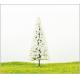 SA02 G scale Train Layout Miniature Model Trees Roadside Green Landscape Pine 6cm / 5cm